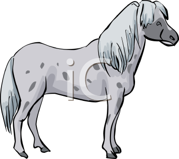 Horse Clipart