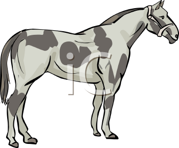 Horse Clipart