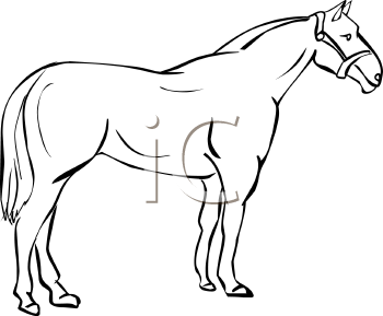 Horse Clipart