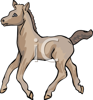 Horse Clipart