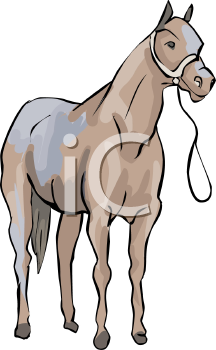 Horse Clipart