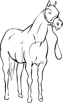 Horse Clipart