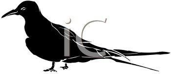 Bird Clipart