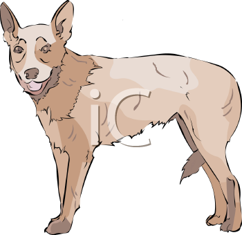 Farm Animal Clipart