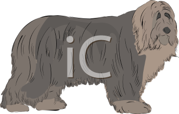 Dog Clipart