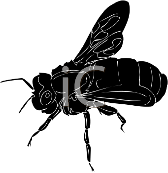 Insect Clipart