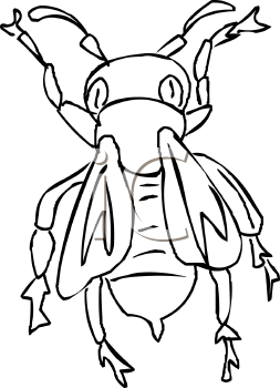 Insect Clipart