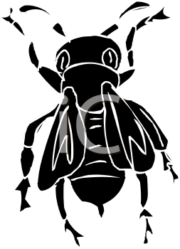 Insect Clipart