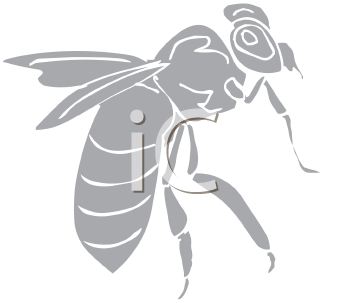 Insect Clipart