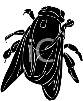 Insect Clipart