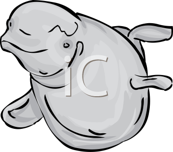 Fish and Sealife Clipart