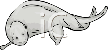 Fish and Sealife Clipart