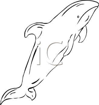 Fish and Sea Life Clipart