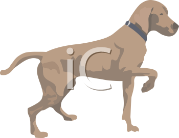 Dog Clipart