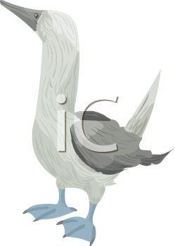 Bird Clipart