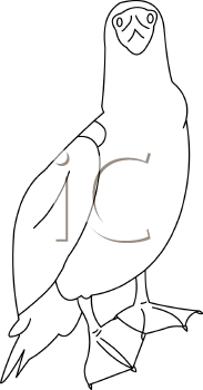 Bird Clipart