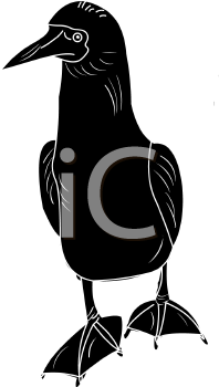 Bird Clipart