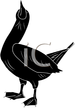 Bird Clipart