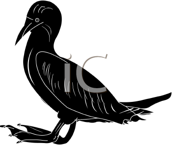 Bird Clipart