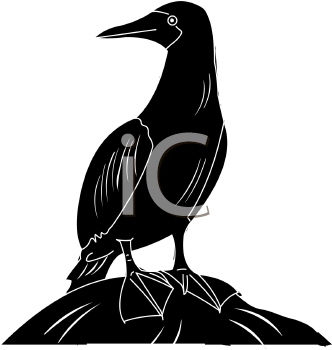 Bird Clipart