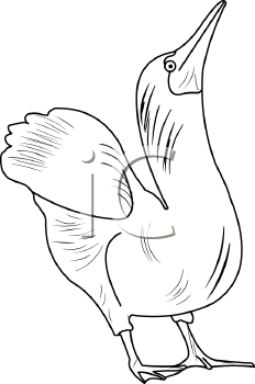 Bird Clipart