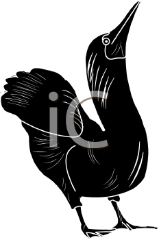 Bird Clipart