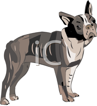 Dog Clipart