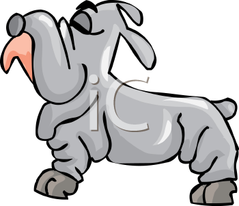 Pet Clipart