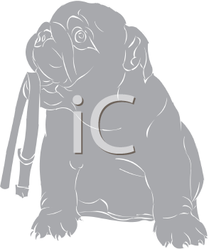 Pet Clipart