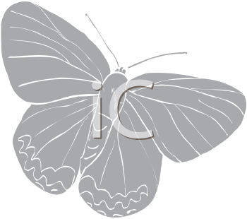 Insect Clipart