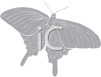 Insect Clipart