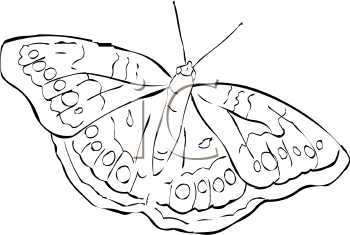 Insect Clipart