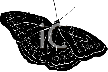 Insect Clipart