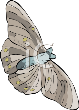 Insect Clipart