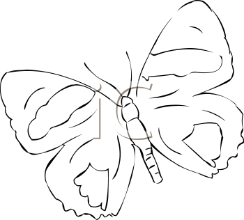 Insect Clipart