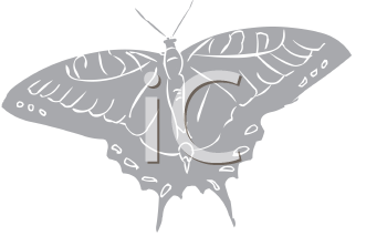 Insect Clipart