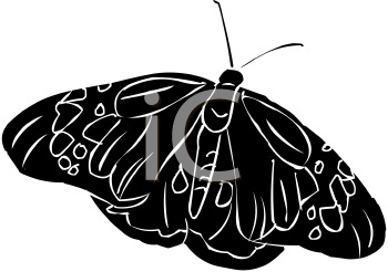 Insect Clipart