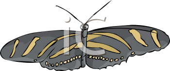 Insect Clipart