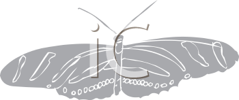 Insect Clipart