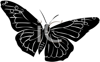 Insect Clipart