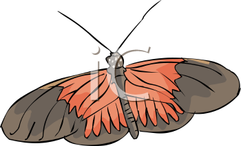 Insect Clipart