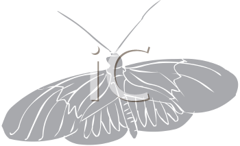 Insect Clipart