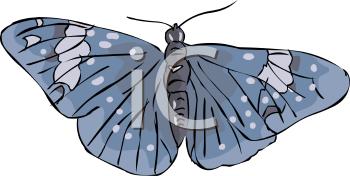 Insect Clipart