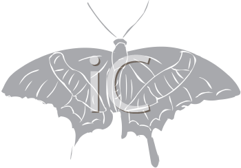 Insect Clipart