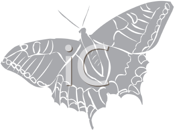 Insect Clipart