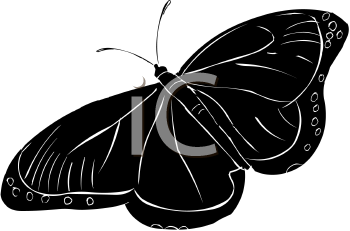 Insect Clipart