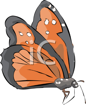 Insect Clipart