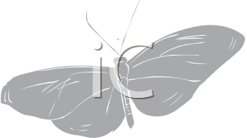 Insect Clipart