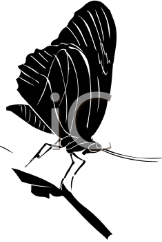 Insect Clipart