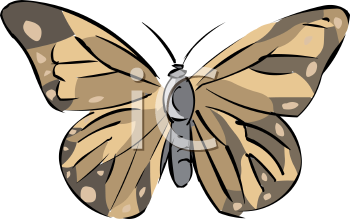 Insect Clipart